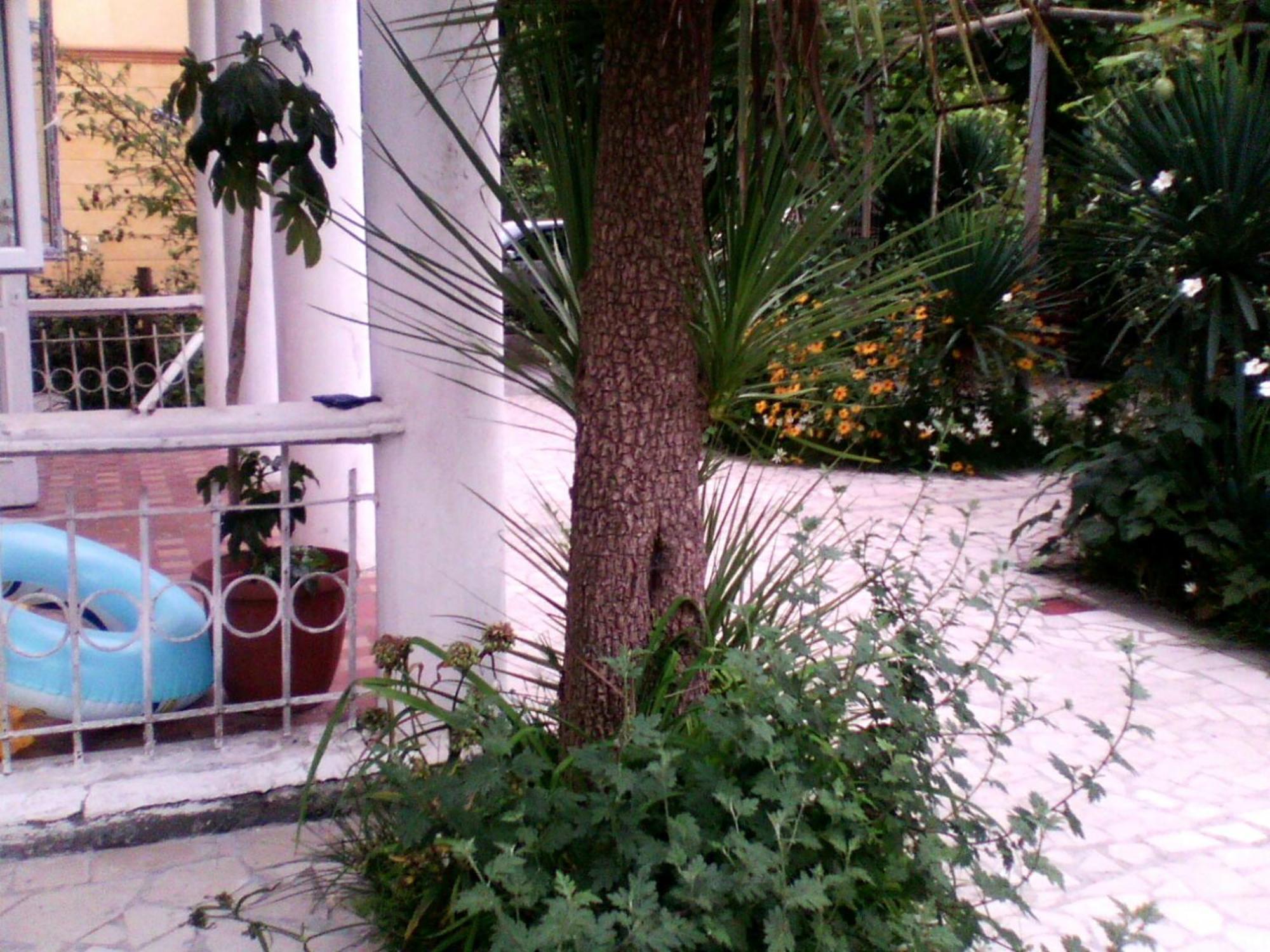 White Guest House Batumi Exteriör bild
