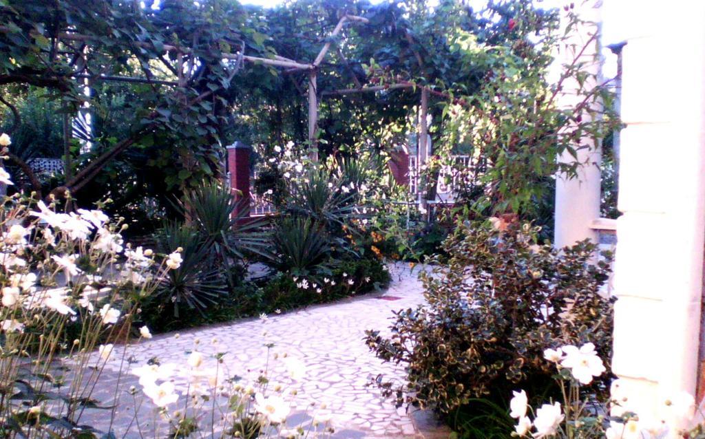 White Guest House Batumi Rum bild