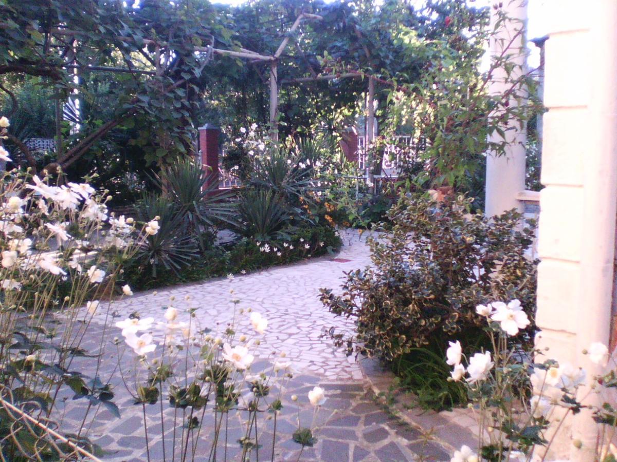 White Guest House Batumi Exteriör bild